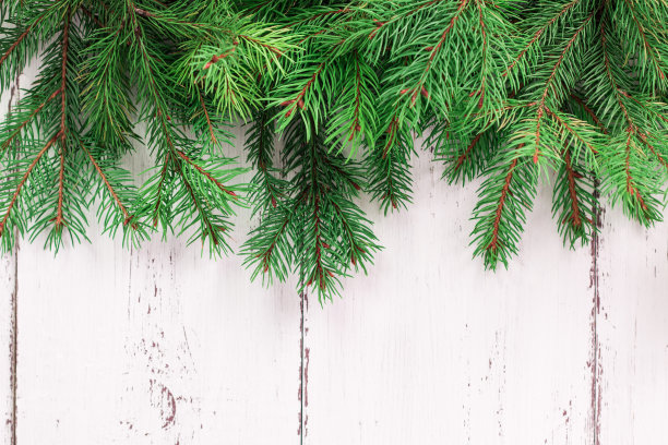 旧木材纹理与雪和冷杉树圣诞背景图片下载