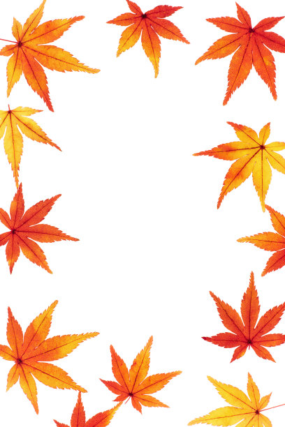 枫木框架图片下载