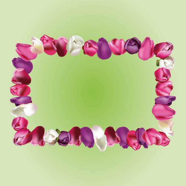 框架和郁金香图片下载