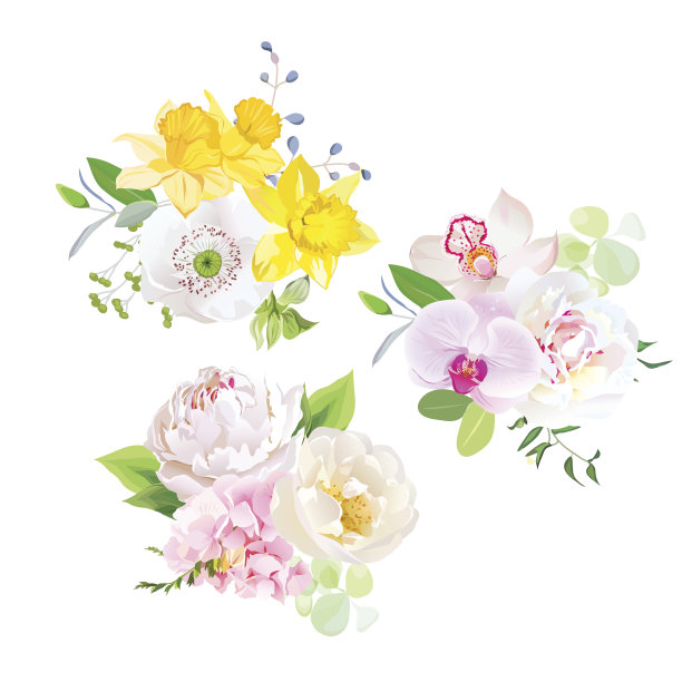 春季混合花束矢量设计集。图片下载
