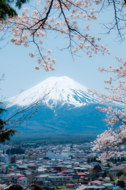 太富士图片下载