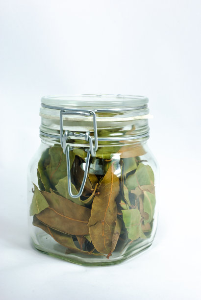 瓶子里的月桂图片下载