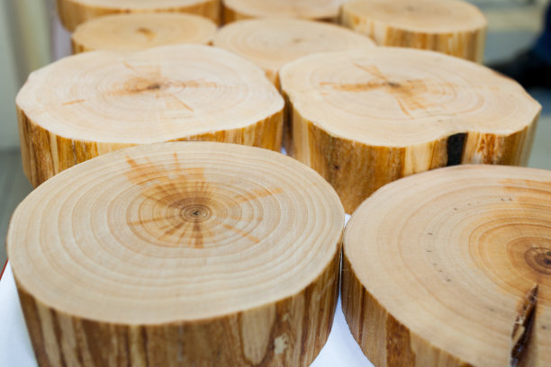 特写几桤木锯切。选择性的重点。图片下载