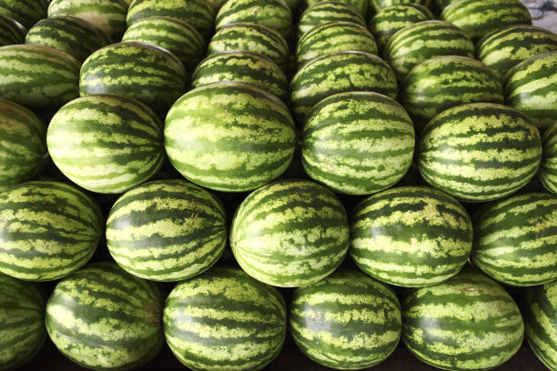 有机西瓜图片下载