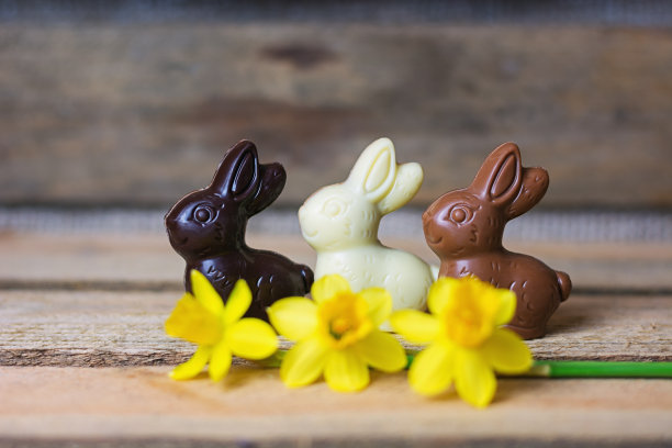 巧克力复活节兔子和水仙花。图片下载