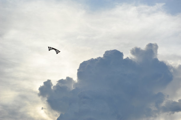 冒着暴风雨图片下载