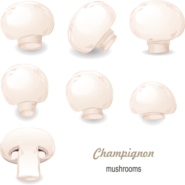 蘑菇食用香草图片下载