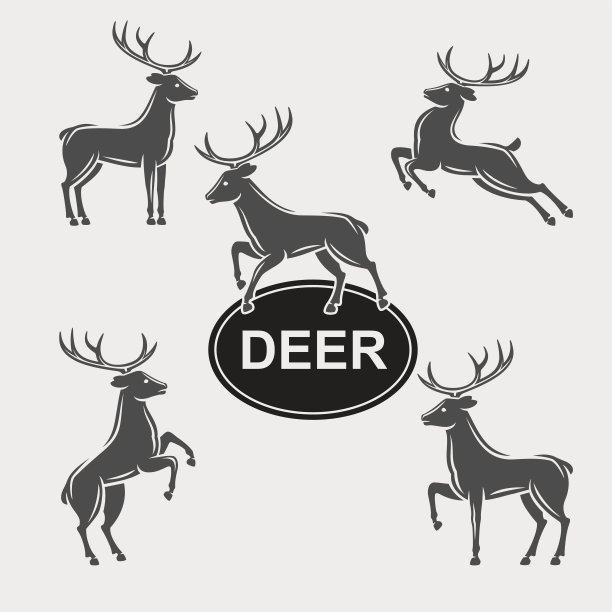 鹿。向量图片下载