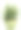 迷迭香属Officinalis;迷迭香图片下载