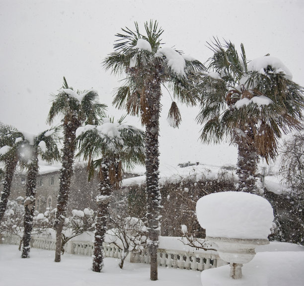 公园降雪景象素材图片