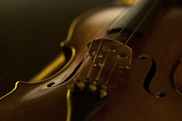 违反了图片下载