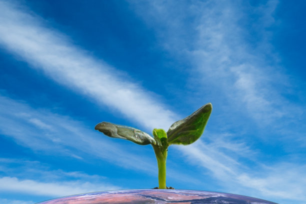 干净的地球图片下载