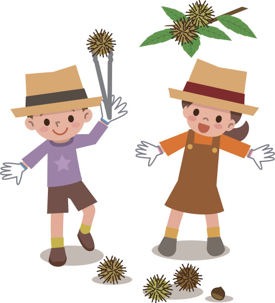 孩子们正在捡栗子图片下载