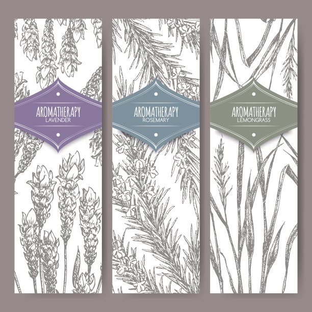 三种标签，薰衣草，迷迭香和柠檬草。图片下载