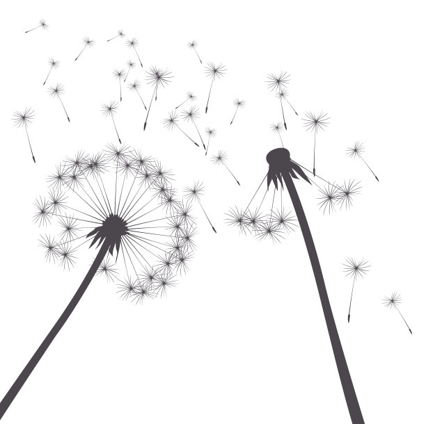 灰色向量蒲公英图片下载