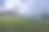 公园图片素材ID：134264440