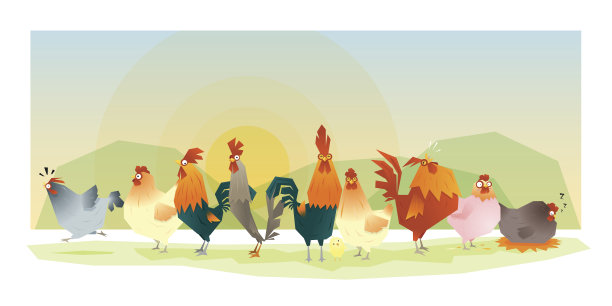 动物背景与鸡素材图片