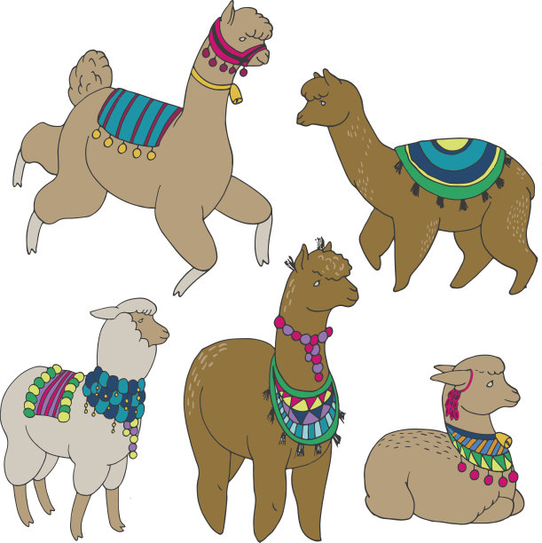 有趣的阿尔帕卡和喇嘛在节日装饰向量集图片下载