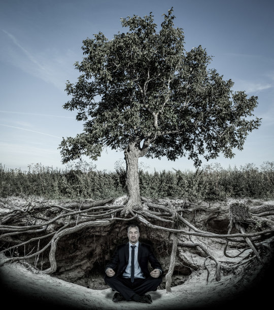 商人在树根下沉思图片下载