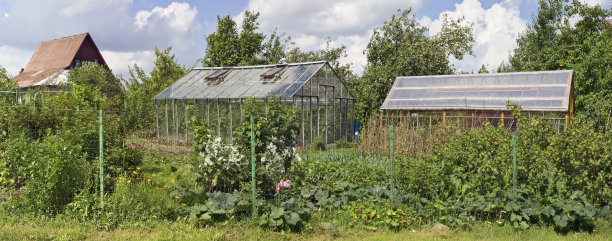 棚屋、温室、篱笆和厨房花园在欧洲贫穷的乡村景观中。全景夏日拼贴从几张照片图片下载