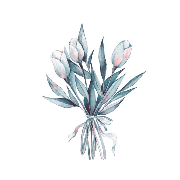 水彩花束。白色的花朵图片下载