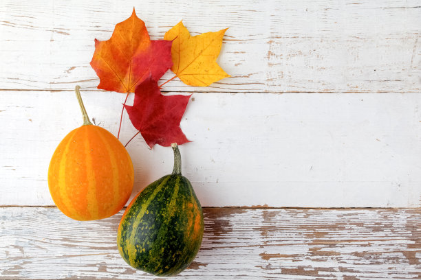 装饰万圣节和秋季与南瓜在白色木制框架素材图片