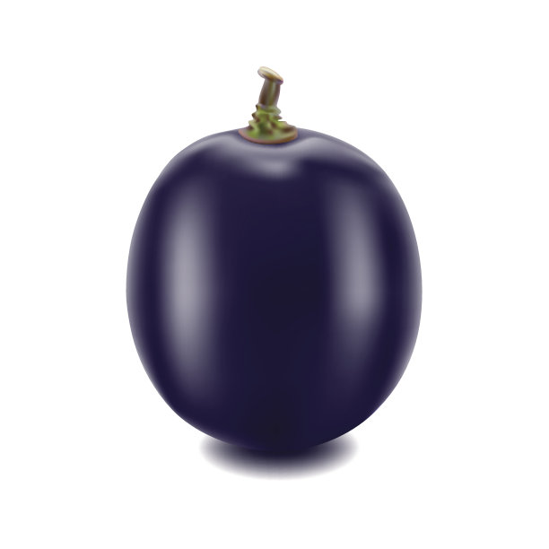 葡萄孤立在白色背景上图片下载