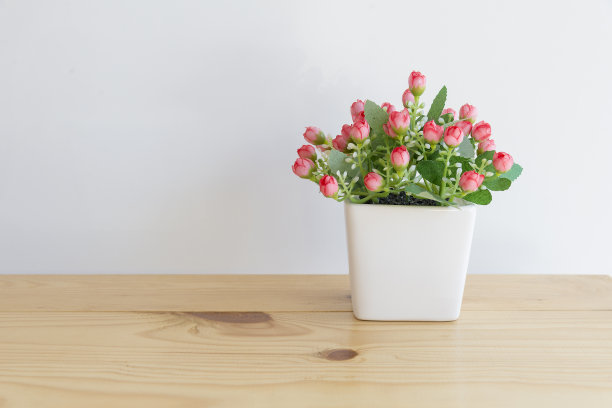 白色花盆里的假红花图片下载