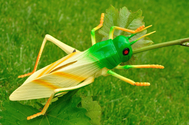 花园里的塑料蚱蜢图片下载