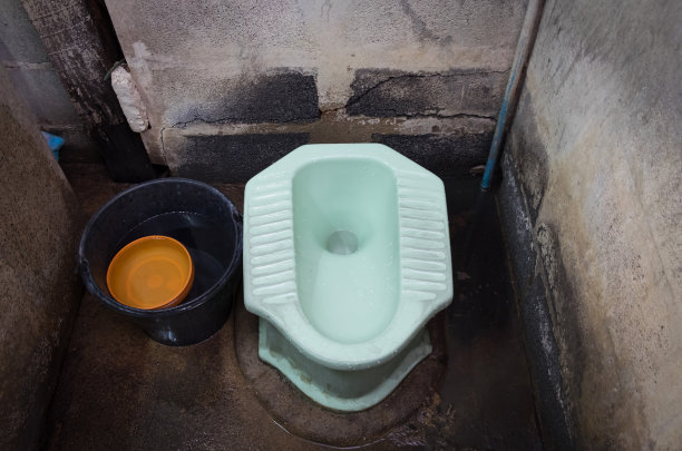 农村的厕所卫生比较差。图片下载