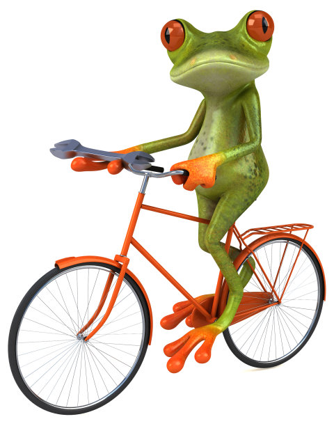 有趣的青蛙图片下载