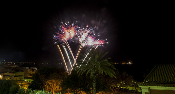 花招烟花图片下载