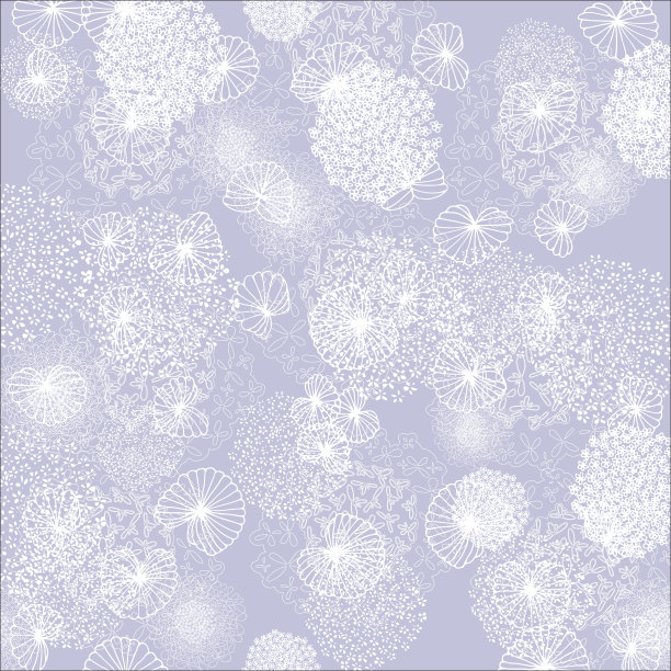 漂亮的白色花在一个紫色的背景图片下载