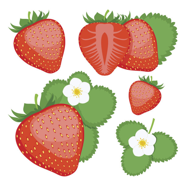 草莓。收集完整的和切片的草莓。图片下载
