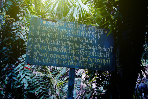 泰语，不准犯错误规定。根据图片下载