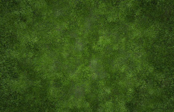 草质地图片下载