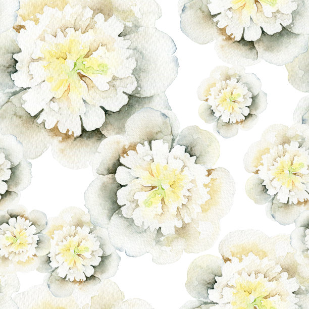 无缝花卉图案与牡丹图片下载