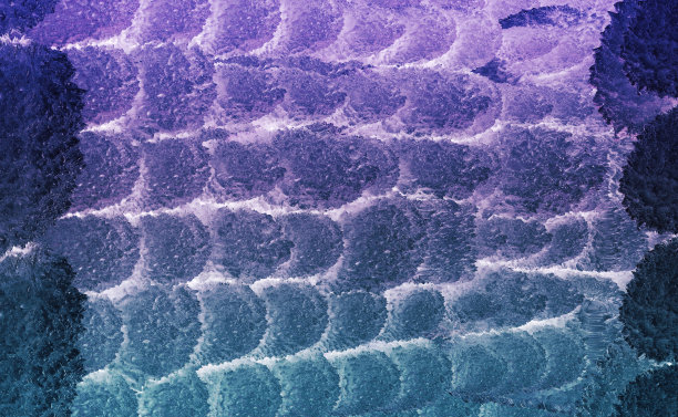 微生物学，显微图像，病毒样结构。图片下载