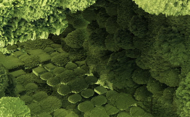 微生物学，显微图像，病毒样结构。图片下载