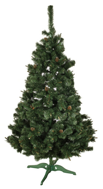 圣诞树图片下载