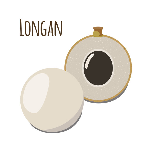 龙眼异国情调的水果。热带维生素甜点。平的风格。有机营养图片下载