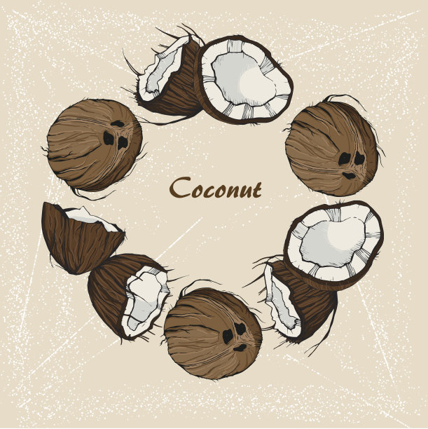 椰子手绘6图片下载