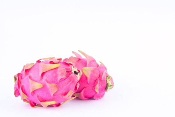 火龙果或火龙果图片下载