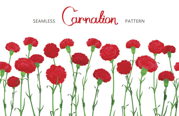 矢量花无缝边框图片下载