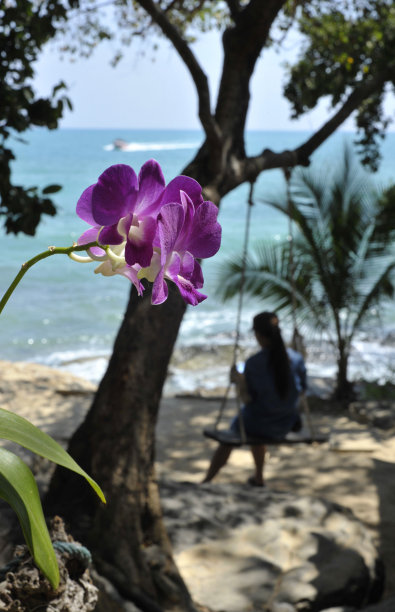 科萨梅特图片下载