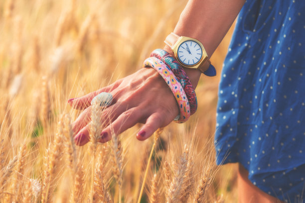 麦田里的女孩。图片下载