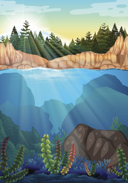 松树和水下景色图片下载