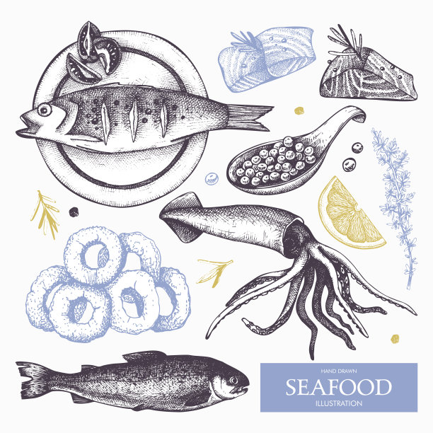 手绘海鲜素描集图片下载