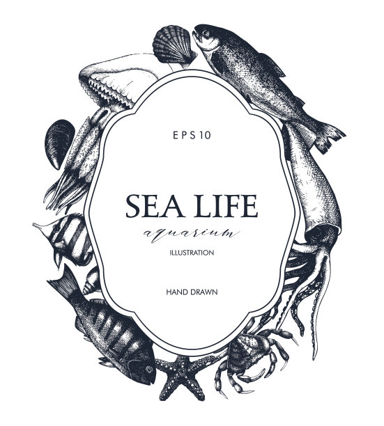复古卡片设计与海洋生命插图图片下载