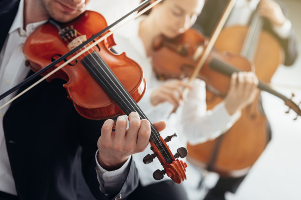 管弦乐队弦乐部分表演图片下载